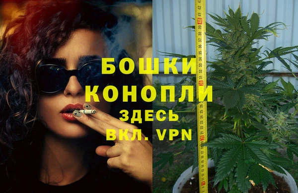 прущие грибы Абдулино