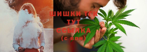 прущие грибы Абдулино