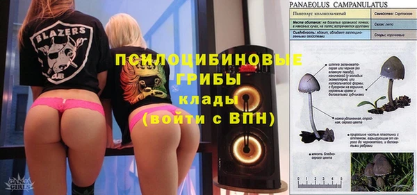 прущие грибы Абдулино