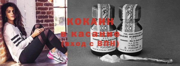 прущие грибы Абдулино