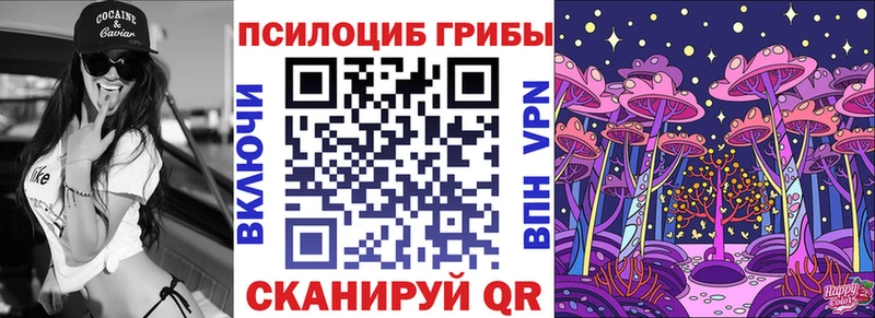 Псилоцибиновые грибы Psilocybe  Фурманов 